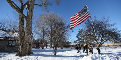 Winter, Branch, Daytime, Flag, Flag of the united states, Tree, Freezing, Snow, Woody plant, Pole, 