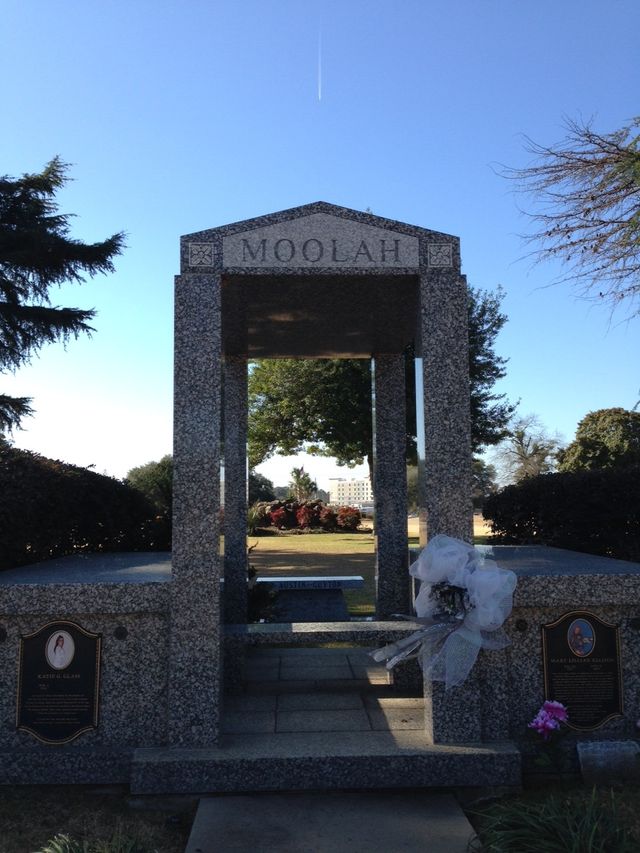 Shrub, Memorial, Concrete, Cemetery, Monument, 