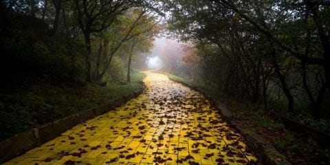 Follow the Yellow Brick Road to Hell in These Pics of an Abandoned Wizard of Oz Park