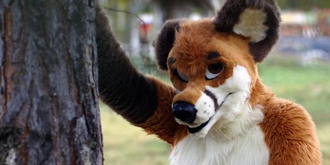Furries Sex Convention - What Is Furry? - Fursonas Documentary Interview with Dominic ...