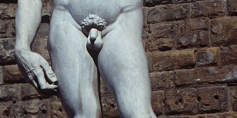 Size david penis statue of Historian explains