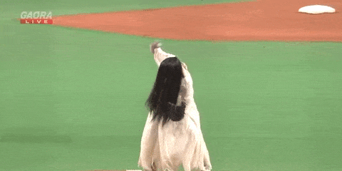 Sadako vs Kayako - The Ring, Grudge Characters Throw Out Ceremonial First  Pitch at Japan League Game