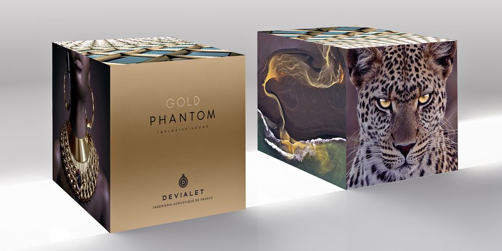 Felidae, Big cats, Carnivore, Packaging and labeling, Rectangle, Box, Label, Brand, Leopard, Paper product, 