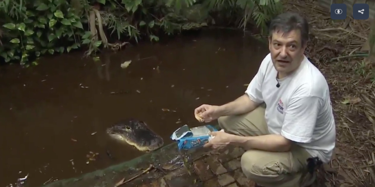 Florida Man Raises His Pet Gator on Pizza and Chips Ahoy!