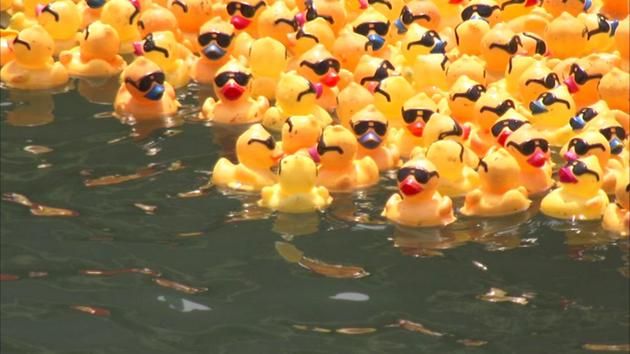 abc rubber ducks