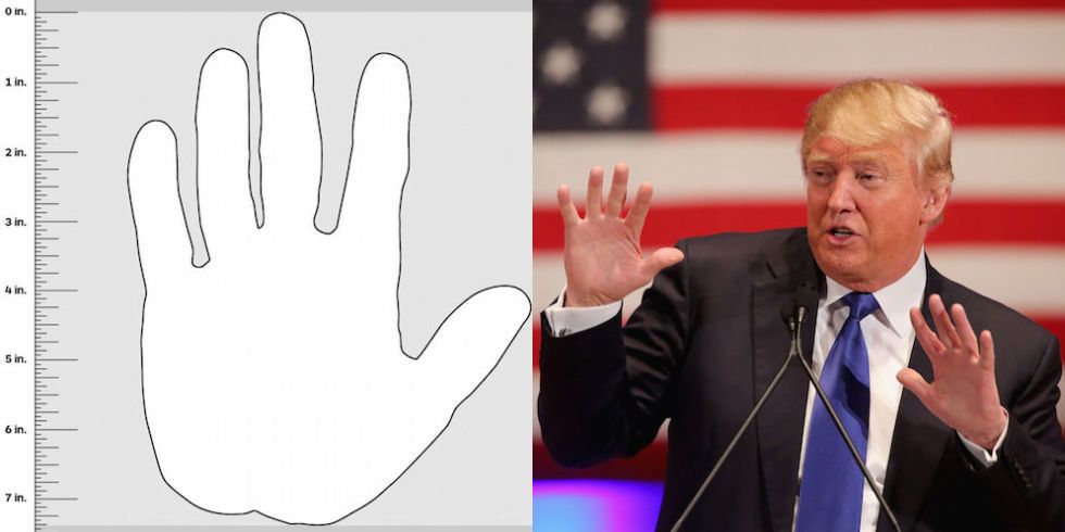 Donald Trump's 'tiny' hand size revealed as online graphic invites you to  compare palms with the billionaire