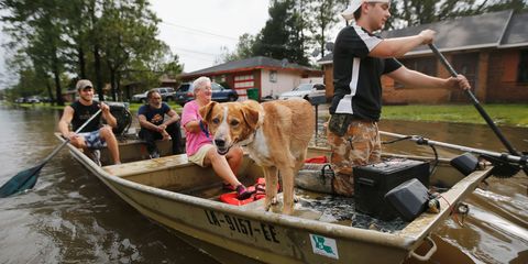 Recreation, Dog, Watercraft, Outdoor recreation, Carnivore, Boat, Cap, Dog breed, Sporting Group, Skiff, 