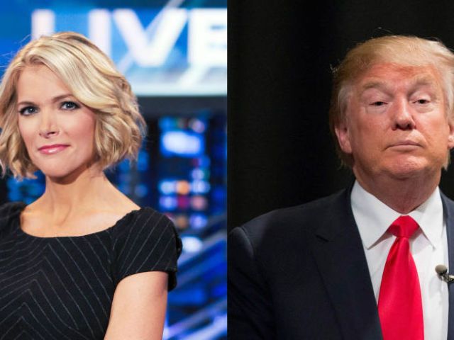 Porn Megyn Kelly Roger Ailes - Megyn Kelly Allegedly Thought Donald Trump Paid Someone to Poison Her