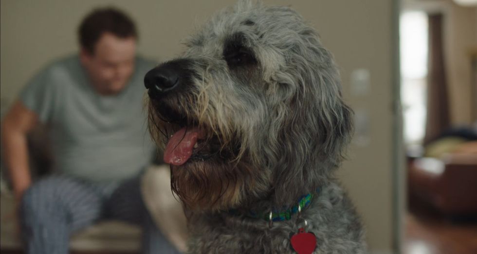 'High Maintenance' Episode 3 Recap – Some New Yorkers Are Dogs, and ...