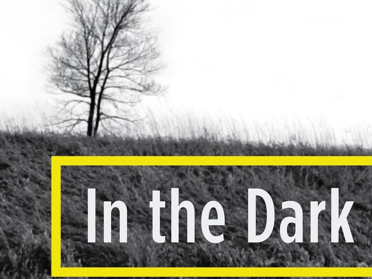 In the Dark Host Madeleine Baran Explains How the Year s Best