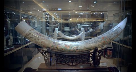 Museum, Tourist attraction, Natural material, Collection, Ancient history, Maritime museum, Antique, Marble, 