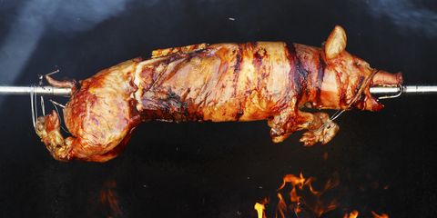 Suckling pig, Lechon, Amber, Pig roast, Roasting, Snout, Rotisserie, Méchoui, Cooking, Meat, 