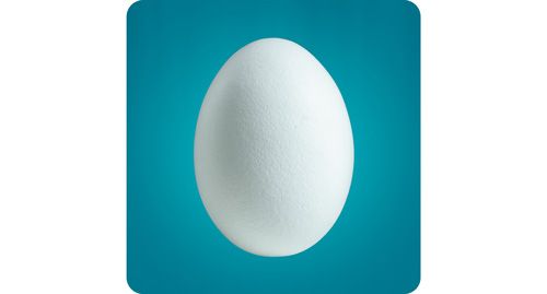 Ingredient, Teal, Aqua, Turquoise, Egg, Egg, Circle, Animal product, Science, Oval, 
