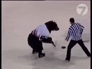 Image result for bear playing hockey