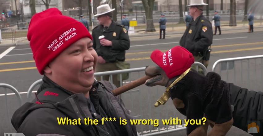 dog maga hat