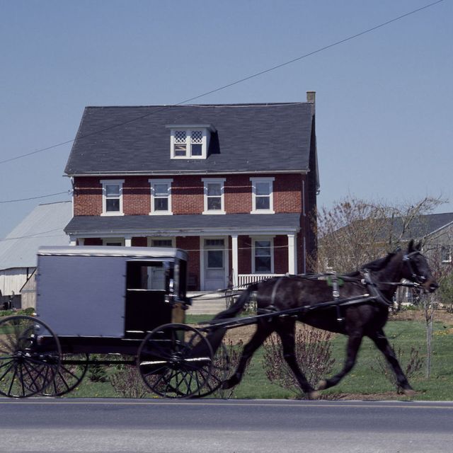 Horse and buggy, Horse harness, Carriage, Vehicle, Horse, Wagon, Horse tack, Mode of transport, Cart, Rein, 