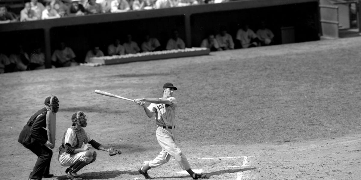 What Do You Think Of Ted Williams Now Biography