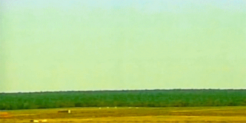 Green, Field, Plain, Grassland, Sky, Prairie, Natural environment, Yellow, Ecoregion, Horizon, 