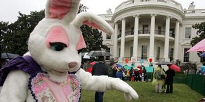 Mascot, Easter bunny, Rabbit, Rabbits and Hares, Event, Costume, Fur, Ear, 