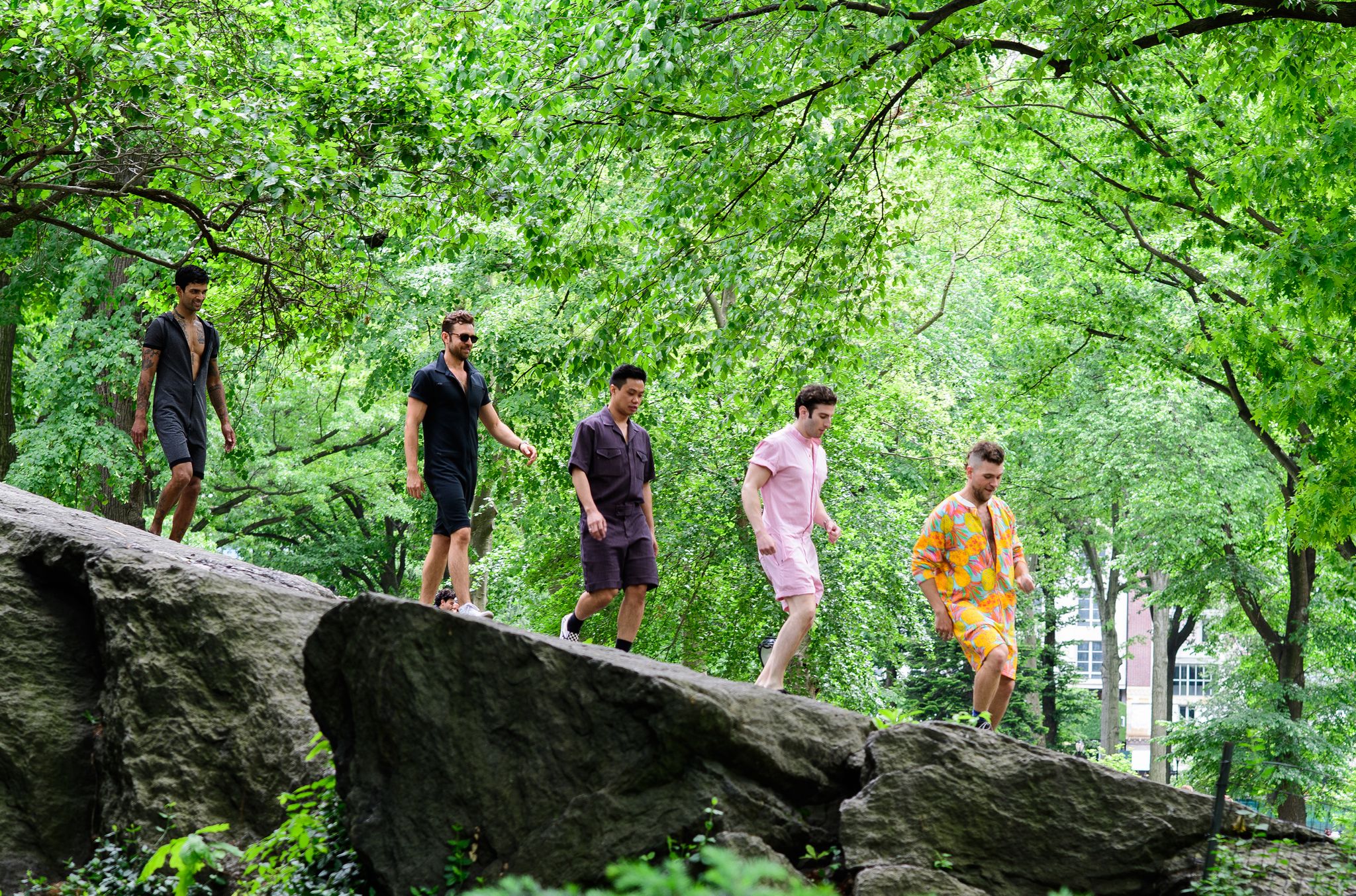 Branch, People in nature, Rock, Leisure, Forest, Bedrock, Youth, Trunk, Deciduous, Outcrop, 