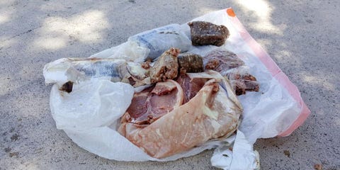 In Florida, It's Raining Meat