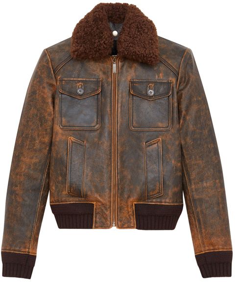 Jacket, Clothing, Leather, Leather jacket, Outerwear, Sleeve, Brown, Fur, Textile, Top, 