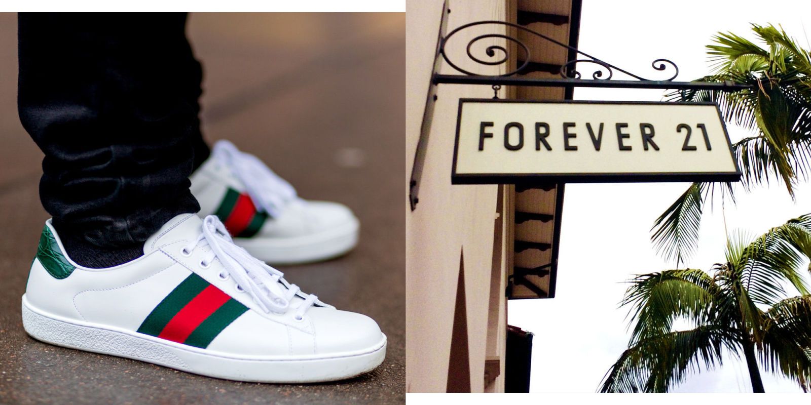 forever 21 gucci inspired