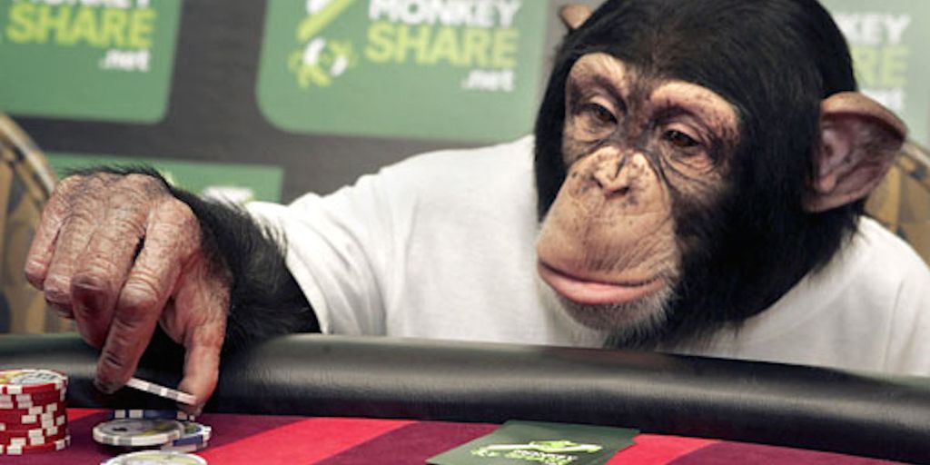 Monkey gambling games