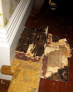 Subfloor Repair - DIY Sub Floor Repairs