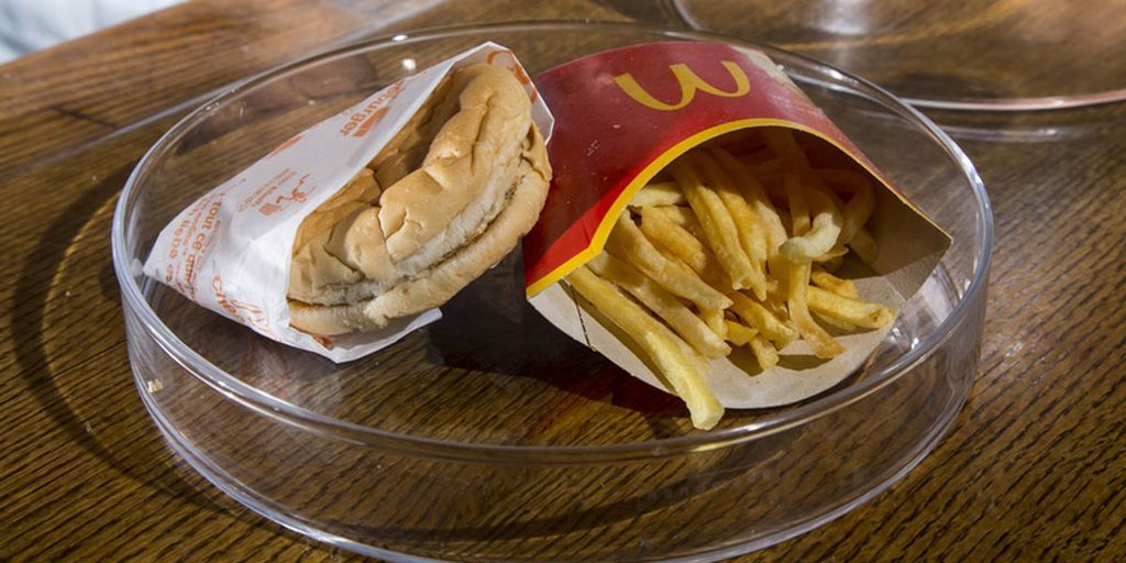 McDonald's Burger and Fries Don't Decay - Shocking Happy Meal Photo