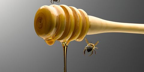 Yellow, Invertebrate, Insect, Amber, Arthropod, Pest, Metal, Brass, Macro photography, Honeybee, 