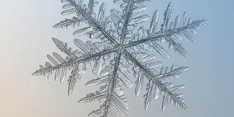 How to Photograph Snowflakes—With a Really Cheap Camera
