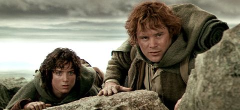 Frodo Baggins and Samwise Gamgee
