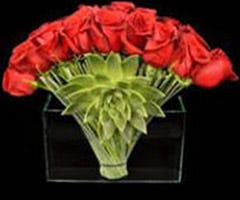 Roses
