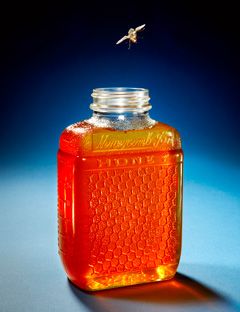 Fly Near the Honey Jar