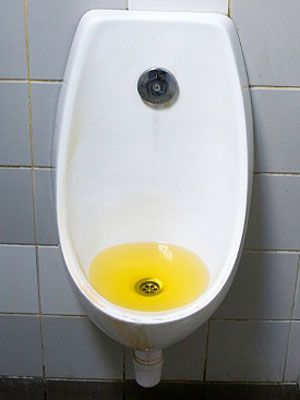 urinal with pee in it