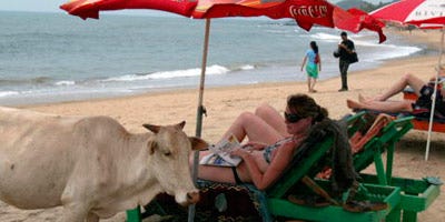 Goa India Beach Goa India Beach