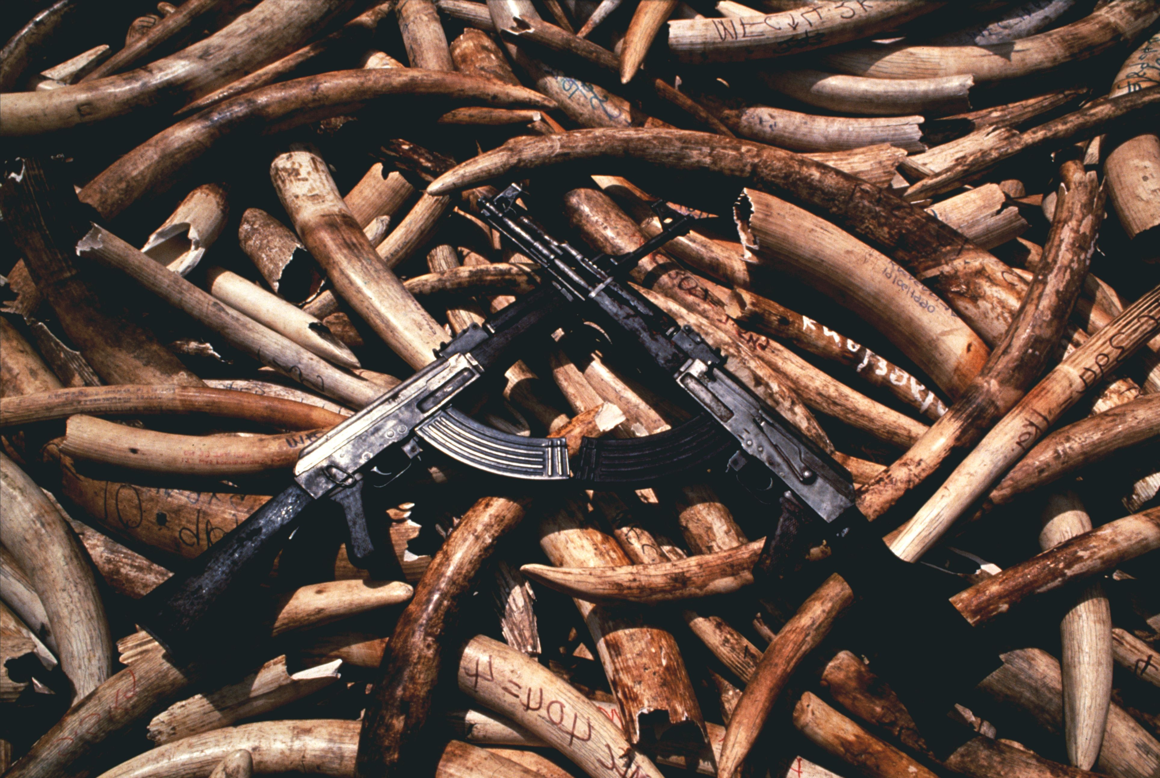 AK-47 rifle and Mikhail Kalashnikov were agriculture's giant loss