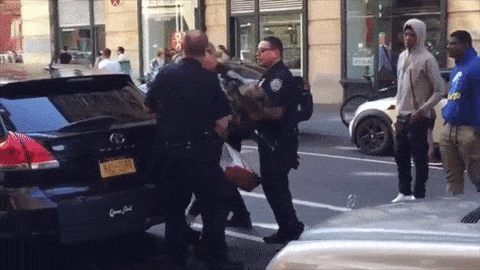 1474309496-giphy-53.gif