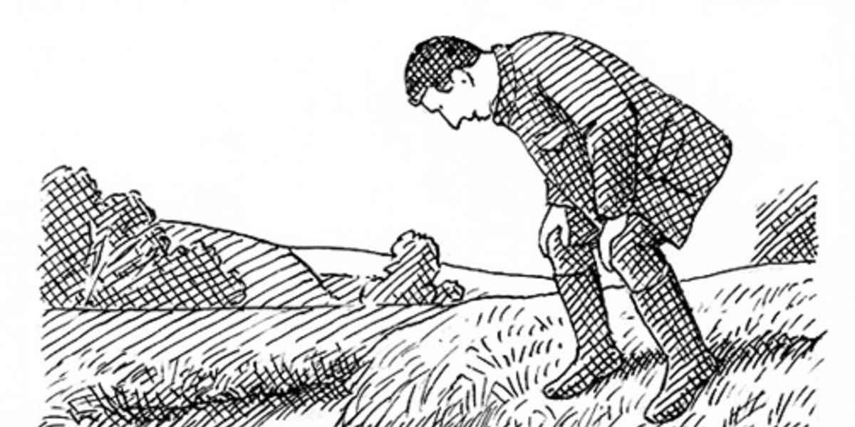 How to tickle a fish
