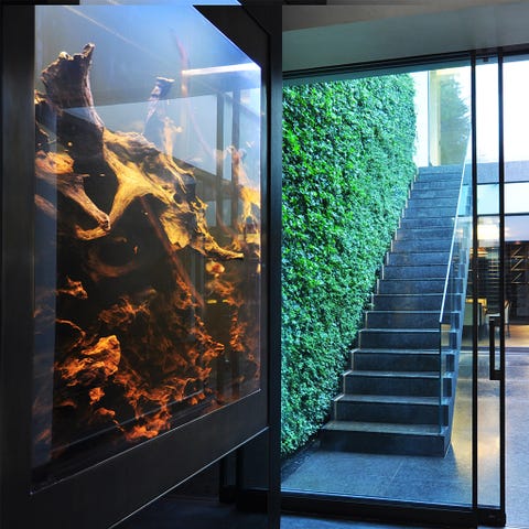 10 Of The World S Coolest Aquariums Aquarium 1 43