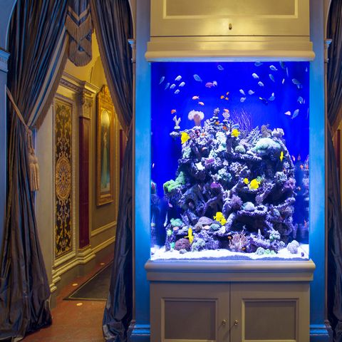 10 Of The World's Coolest Aquariums