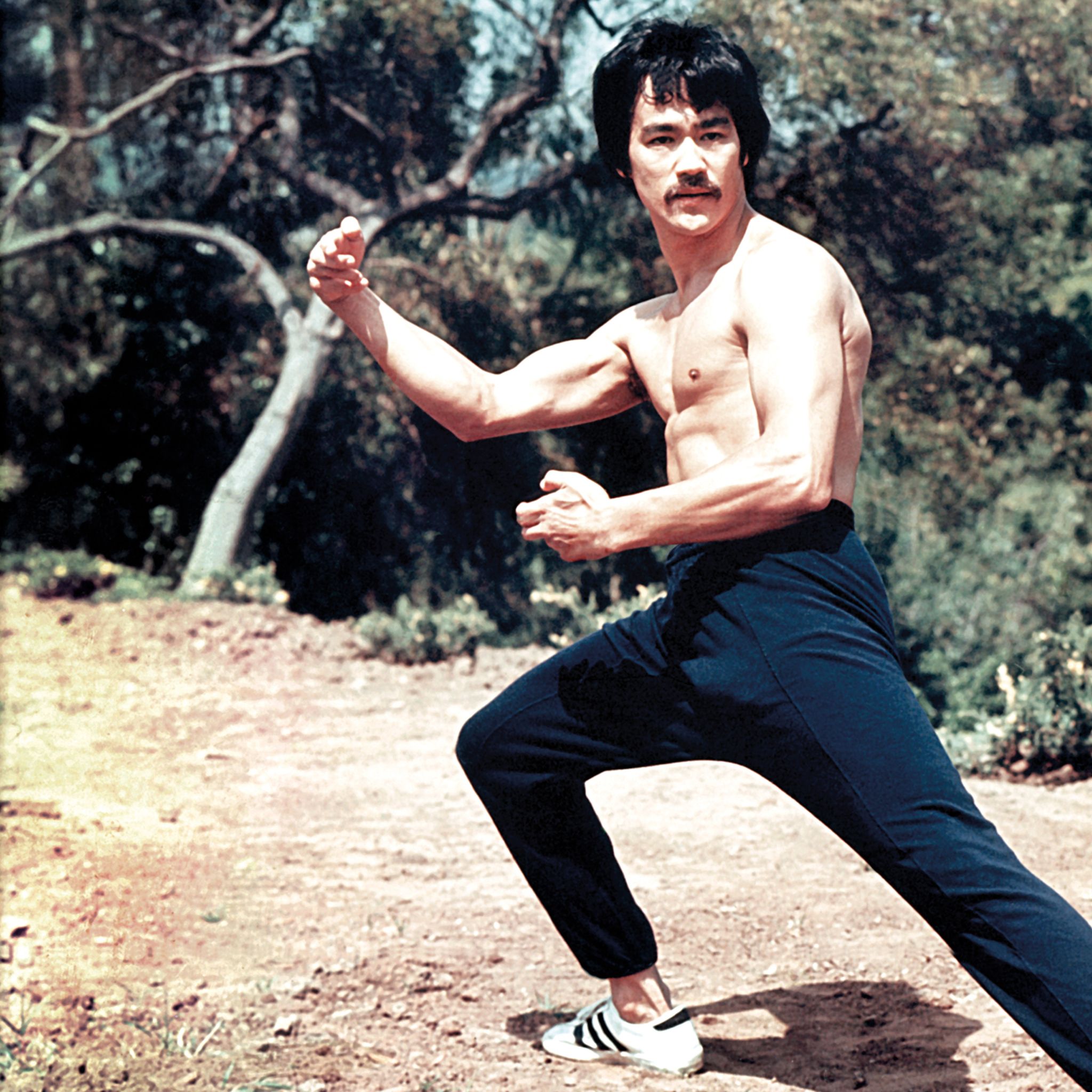 Bruce Lee   2048x2730 Bruce Lee 40th Anniversary Since Death 3 43 Jpg Cd6e7ea8 