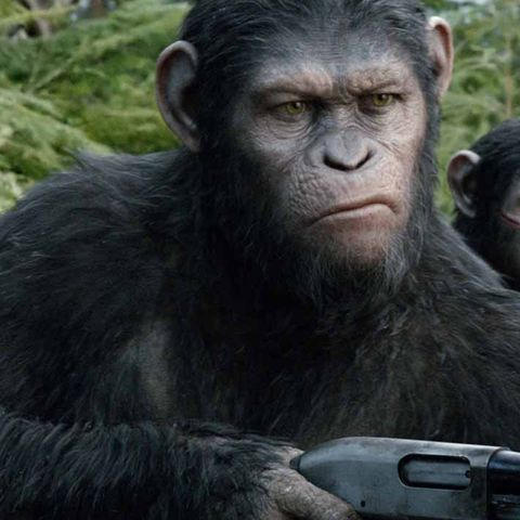 Dawn-Of-The-Planet-Of-The-Apes-5-Things-43