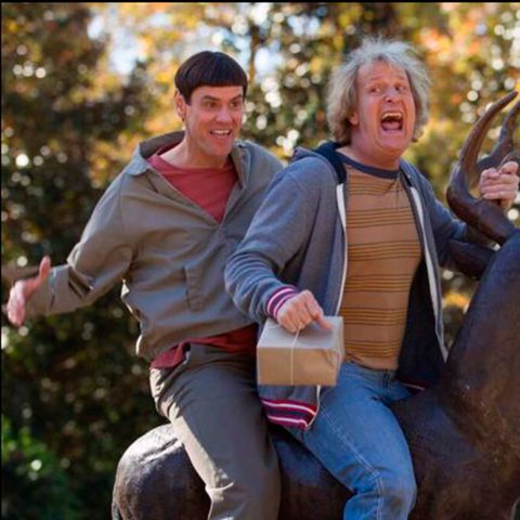 dumb-and-dumber-2-to-trailer