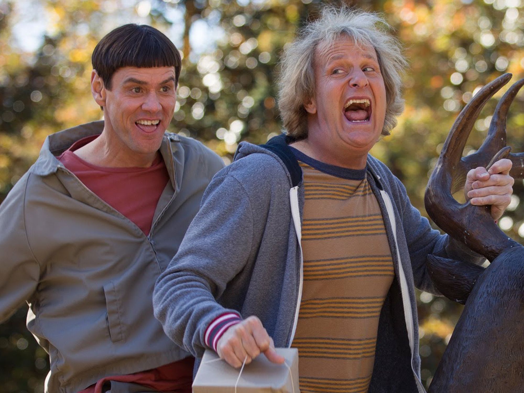Why You Should Ignore The Critics And Go And See 'Dumb & Dumber To'