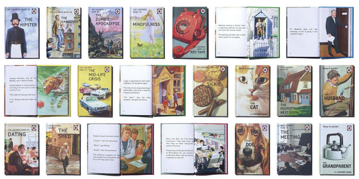 How The Ladybird Books For Grown Ups Became The Fastest Selling Adult