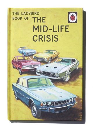 How The Ladybird Books For Grown Ups Became The Fastest Selling - i have treated myself to two original pieces of ladybird artwork which i bought from rowland rivron of all people at that table over there says hazeley