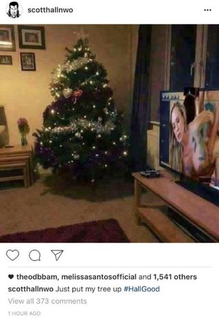 320px x 466px - WWE Wrestler Posts Nice Christmas Photo... But Forgets To ...