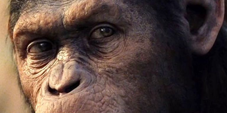 rise of the planet of the apes on netflix